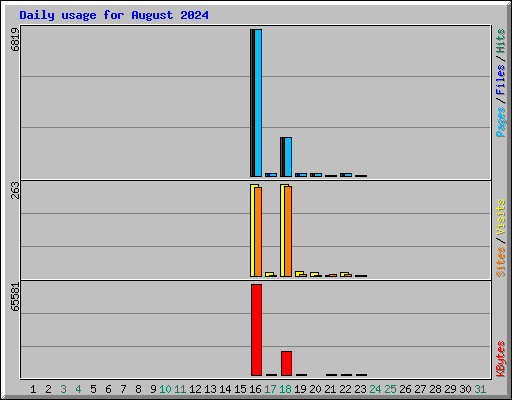 Daily usage for August 2024