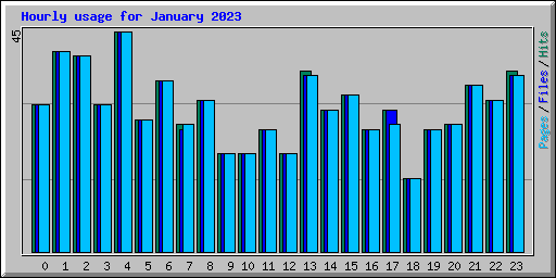 Hourly usage for January 2023