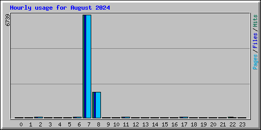 Hourly usage for August 2024