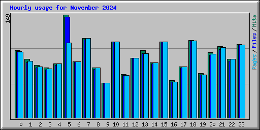 Hourly usage for November 2024