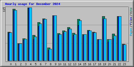 Hourly usage for December 2024