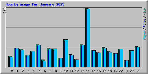 Hourly usage for January 2025